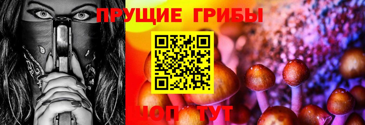 Галлюциногенные грибы прущие грибы  Вход с VPN  Рузаевка  наркотики  Псилоцибиновые грибы GOLDEN TEACHER 
